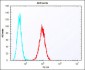 (Mouse) Eras Antibody (N-term)