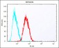 (Mouse) Epcam Antibody (C-term)