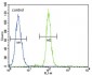 CD-14 Antibody (NT)