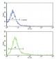 CD-45 Antibody (CT)