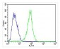 FGF9 Antibody