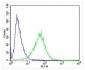 FAM168B Antibody (Center)