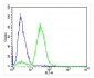 AVPR2 Antibody (C-term)