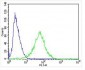 NPY2R Antibody (N-term)