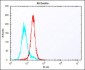 HLA-DQA1 Antibody (C-term)