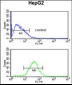 WDR43 Antibody (C-term)