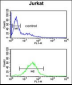 MFRN2 Antibody (N-term)