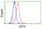 DPP4 / CD26 Antibody (clone 11D7)