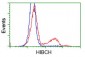 HIBCH Antibody (clone 5C5)
