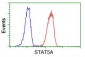 STAT5A Antibody (clone 9F7)