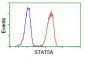 STAT5A Antibody (clone 9F7)