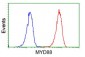 MYD88 Antibody (clone 1B4)