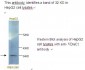 VDAC1 / PORIN Antibody