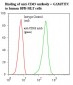 CD63 Antibody (clone AHN16.1/46-4-5)