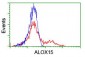 ALOX15 / 15-Lipoxygenase Antibody (clone 7H6)