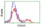 FOLH1 / PSMA Antibody (clone 3H5)