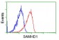 SAMHD1 Antibody (clone 2D7)