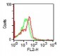  CD56 / NCAM1 (Neuronal Cell Marker) Antibody - With BSA and Azide