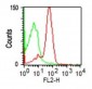  CD43 (T-Cell Marker) Antibody - With BSA and Azide