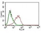  Ep-CAM / CD326 (Epithelial Marker) Antibody - With BSA and Azide