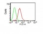  CD34 (Hematopoietic Stem Cell & Endothelial Marker) Antibody - With BSA and Azide