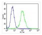 PPP2R1B Antibody