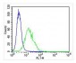 SODM Antibody