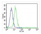 JMJD2C Antibody (C-term)