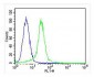 JMJD2C Antibody (C-term)