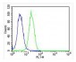 DDIT3 Antibody (C-term A135)