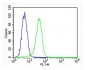 PROX-1-S514 Antibody