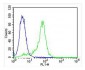 MAPK14 Antibody (Y323)