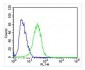 TrkA-pY791 Antibody