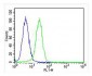 MICA Antibody (Center)