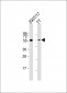 CDC73 Antibody (Center)