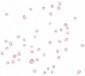 ENC-2 Antibody