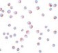 ATG9B Antibody