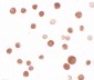 SAMSN Antibody