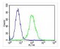 PPP2R1B Antibody