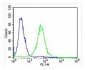 Zebrafish ak2 Antibody (N-term)