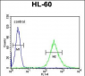 ENASE Antibody  (Center)