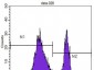 CD4 Antibody