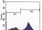 CD3 Antibody