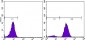 PSA (KLK3) Antibody