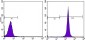 CD44 Antibody