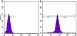 PTEN Antibody