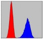 Pirh2 Antibody