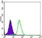 CD276 Antibody