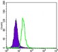 SCGB2A2 Antibody