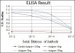 CDK1 Antibody